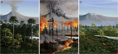 “Antarctic on fire”: Paleo-wildfire events associated with volcanic deposits in the Antarctic Peninsula during the Late Cretaceous